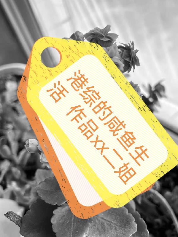 港综系统流港片