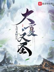 大夏是什么