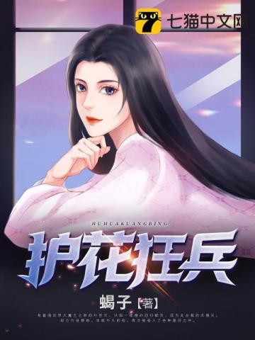 护花狂兵陈阳