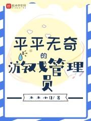 游戏平台管理员
