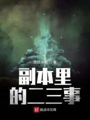 副本里的二三事无错
