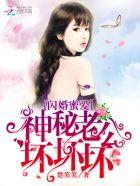 闪婚蜜爱神秘老公坏坏坏阅读