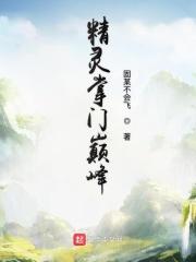 精灵掌门人均订