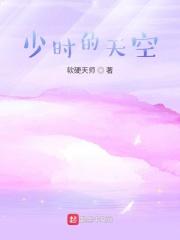 帕尼尼的作品