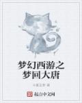 梦幻西游梦回大唐是哪个大区的