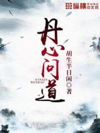 丹心什么意思啊