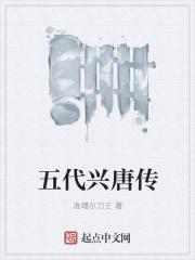 兴唐传简介