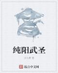 纯阳武神纯阳武神