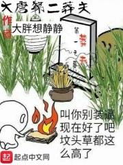 大唐第一莽夫