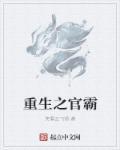 重生官场的经典重生之官道