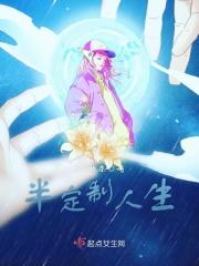半定制设计方法