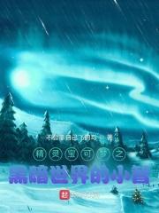精灵宝可梦小智版