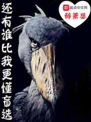 还有谁比我更爱你歌词