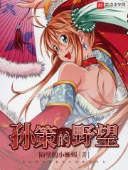 孙策的野望百度百科