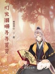 灯火阑珊无处觅