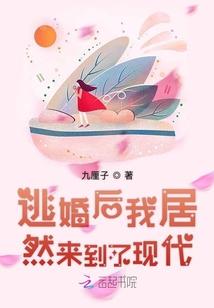 天龙令是哪部里面