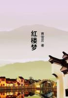 红楼梦四大家族是哪四个