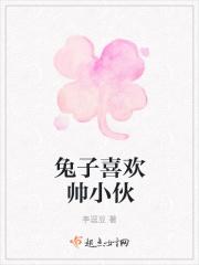 兔子喜欢人类