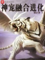 神宠进化流
