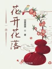 一念花开花落一念是非对错