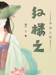 红楼之平妻谋略