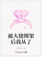 我被大佬绑架的365天