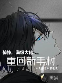 满级大佬重回新手村类型的