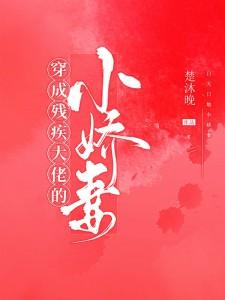 迟清洛秦衍简介