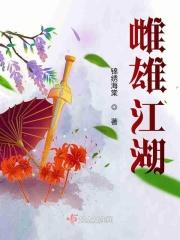 电视剧雌雄盗