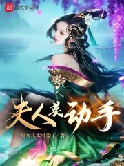 夫人莫动手原著叫什么