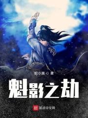 傀影好用吗