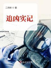 追凶实记免费阅读