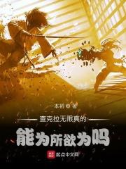 火影之月光