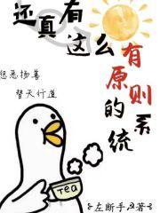 有原则啥意思