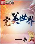 完美世界平台