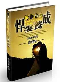 豪门之悍妻当道简介
