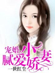婚宠小甜妻阅读全文
