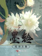 墨玲珑什么意思?