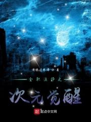 全职法师次元魔法有哪些
