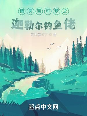 宝可梦伽勒尔动漫