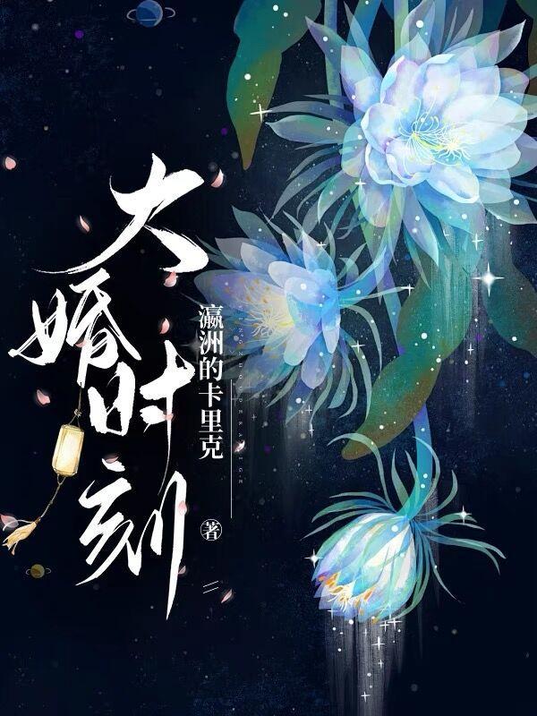 大婚时刻剧情