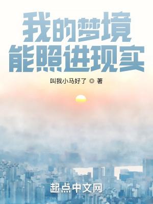 我的梦境能照进现实TXT