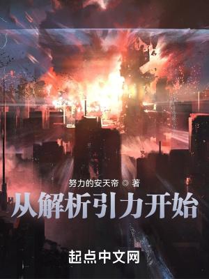 从解析引力开始 断