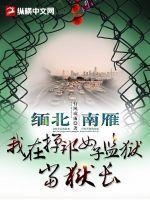 缅甸掸邦视频