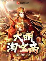 淘宝大明txt