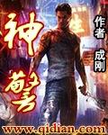 神警奇偷完整版