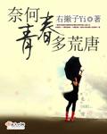 无奈何青春逝去歌词是什么意思