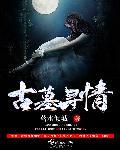 古墓寻情全集免费