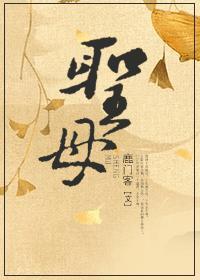 圣母殿简介