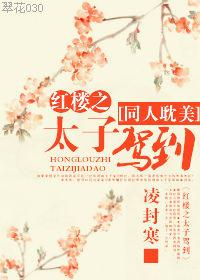 红楼之废太子之子